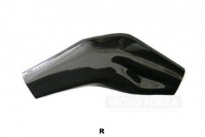 Swing-arm cover - Right Aprilia RSV Mille 2004- / Tuono 2006- Preview -pair GRP coloured black
