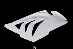 BMW S 1000 RR 2012-2014 (RR/HP4) Side part R GRP