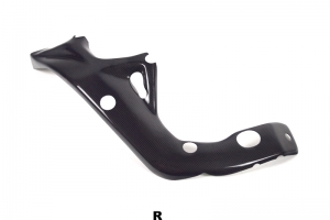Frame cover - Right BMW S1000R/RR 2012-14 CARBON