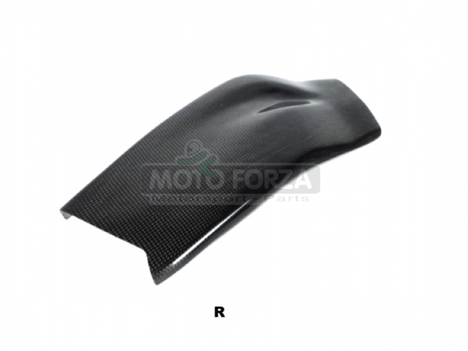 Swing-arm cover - Right BMW S1000RR 2009-2018 / R 2012-2014  - CARBON
