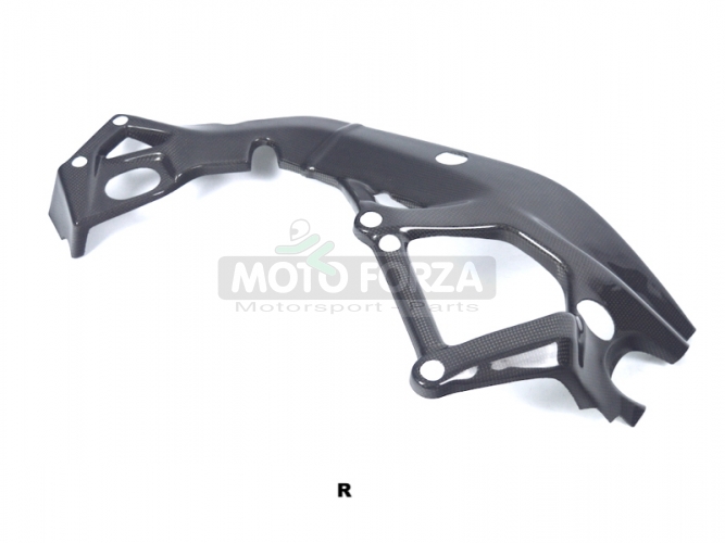 BMW S1000RR / R 2015-2018 - Frame cover - Right, CARBON