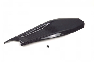 Swing-arm cover R carbon