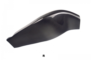 Kawasaki ZX10R 2004-2005 Swing-arm cover - Right, CARBON