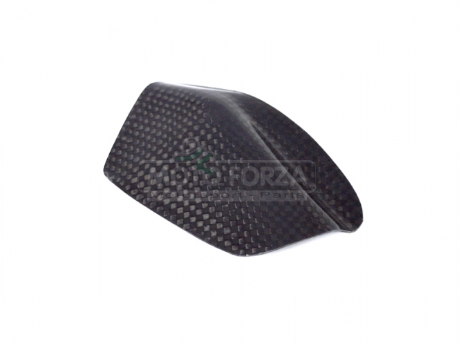Pump cover of rear brake , CARBON