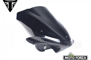 Triumph Speed Triple 955i 2003-2004 flyscreen style 1050 2015 -  SET with black screen
