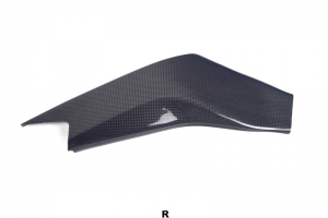 Yamaha YZF R6 2017- , Swing arm cover R - CARBON